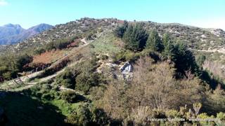 nte Scuderi-23-11-2014 09-47-54
